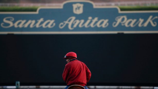 Santa Anita Park has been the site of 29 horse deaths since Dec. 30, four days after the racetrack’s winter meet began.