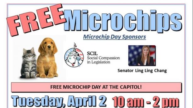 free microchip for pets
