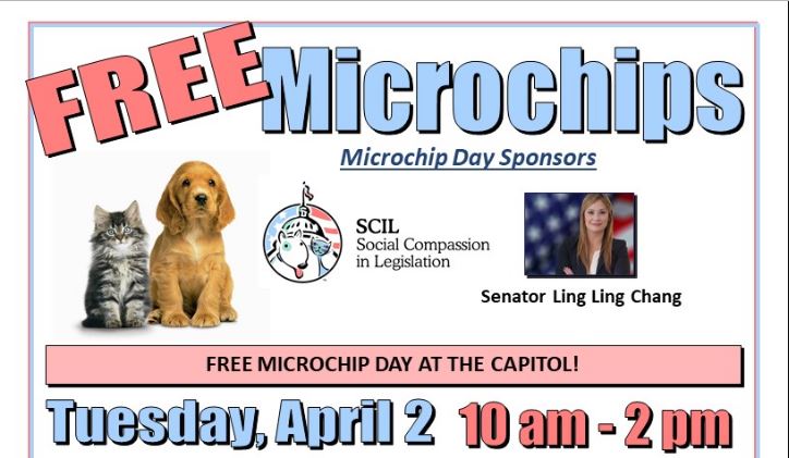 free microchip for pets