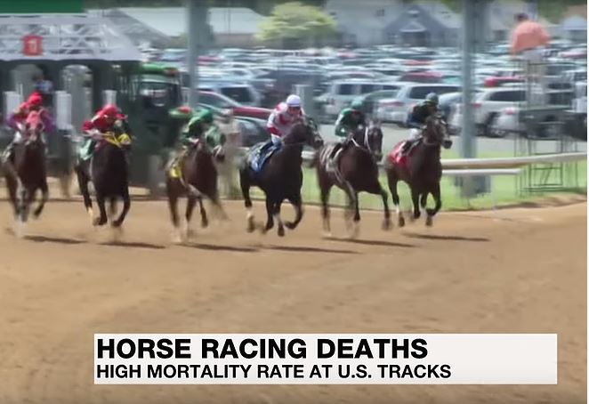 horses racing at the Kentucky Derby