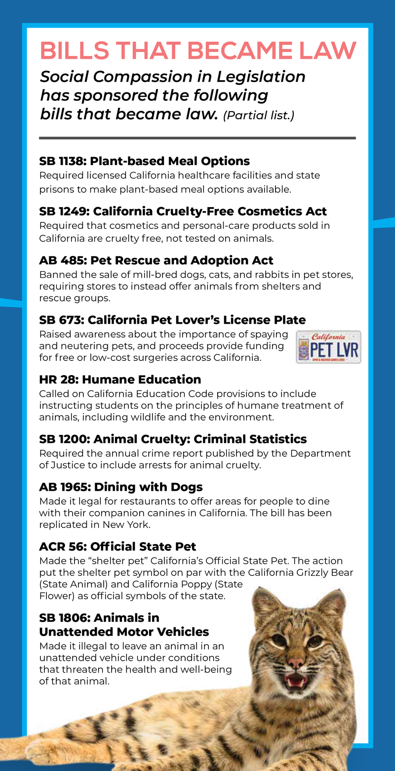 bills that became law