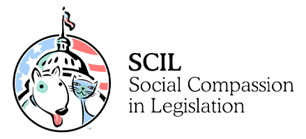 social compassion in legislation