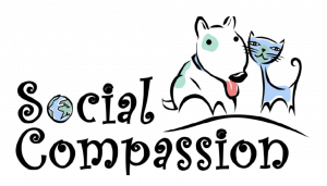 social compassion 501(c)(3)