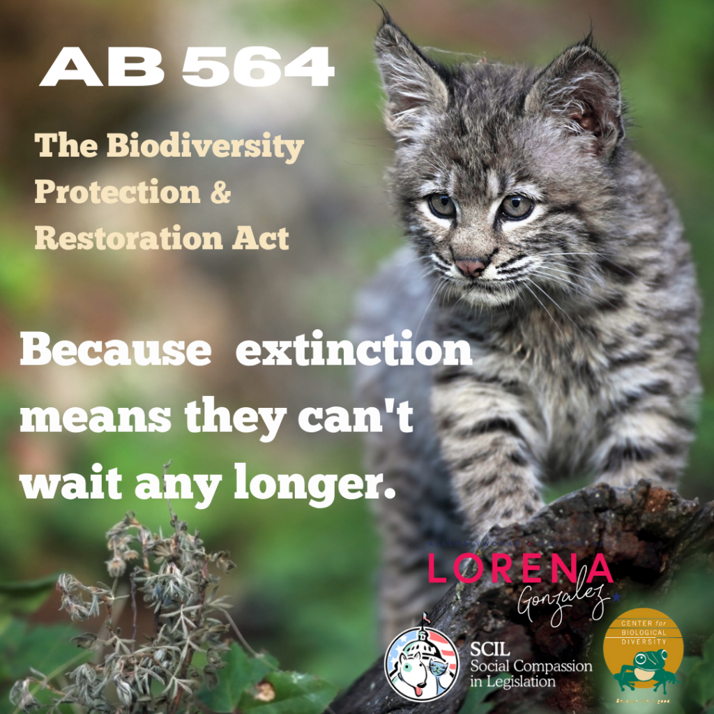 Assemblywoman Gonzalez Introduces AB 564 To Secure Protection For ...