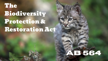 AB 564 (Gonzalez) Protection for California’s Biodiversity