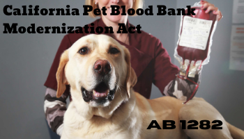 AB 1282 (Wilk) California Pet Blood Bank Modernization Act
