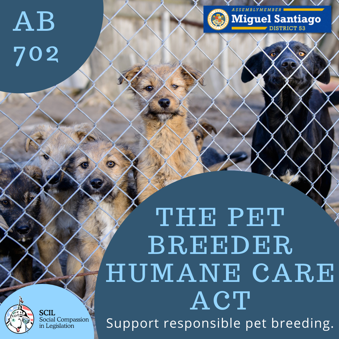 Assemblymember Santiago Introduces Bill to Protect Californians and Dogs  and Cats from Unscrupulous Pet Breeders - Social Compassion in Legislation