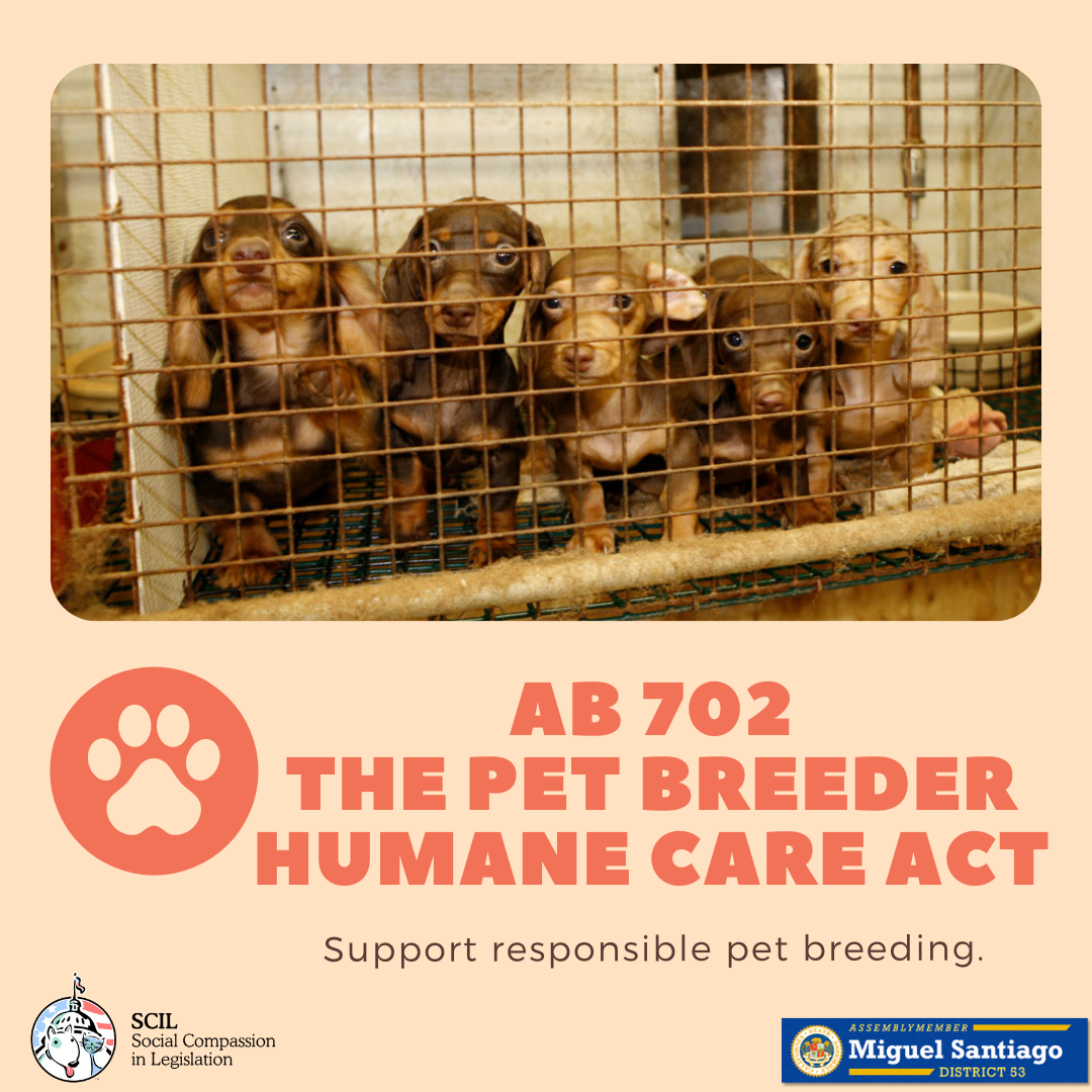 AB 702 - The Pet Breeder Humane Care Act