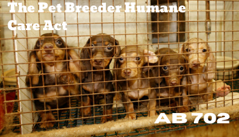 AB 702 (Santiago) The Pet Breeder Humane Care Act