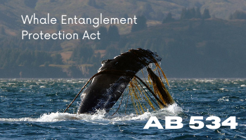 AB 534 Protect Endangered Sea Life