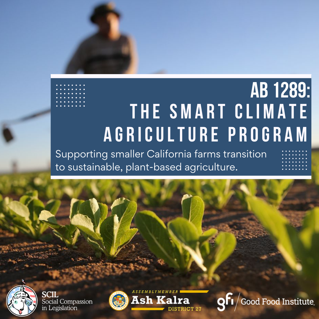 Smart Climate Agriculture Program