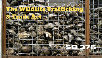 AB 376 (Stern) Wildlife Trafficking and Trade Act