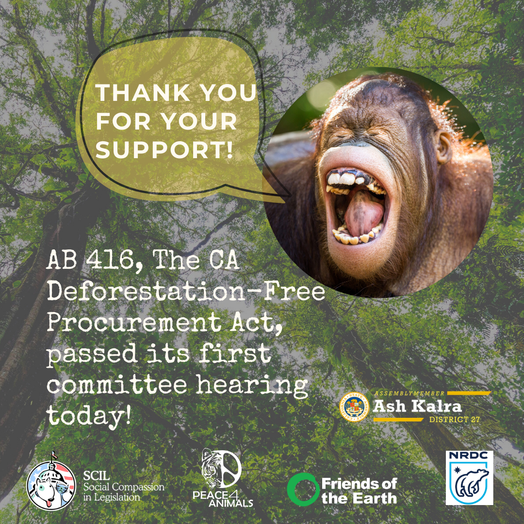 AB416