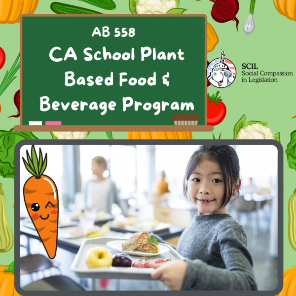 AB 558