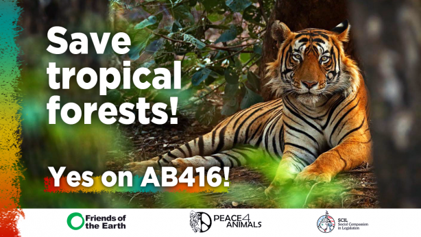 Save Tropical Forests