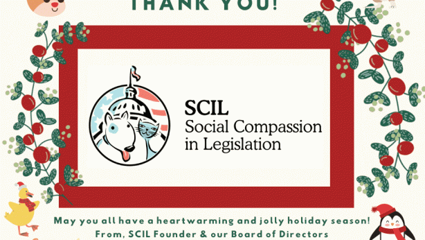 Happy Holidays from SCIL