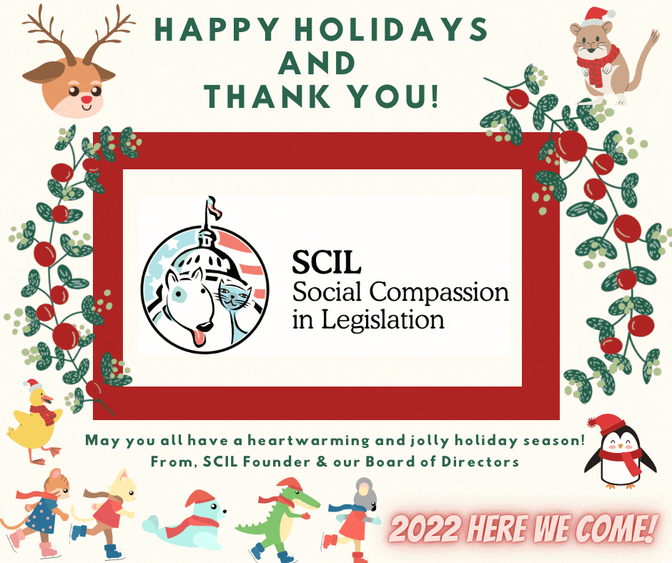 Happy Holidays from SCIL