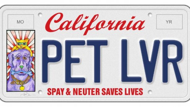 CA Pet Lover Plate