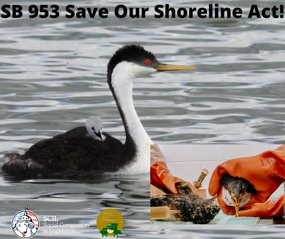 AB 953 the Save Our Coastline Act