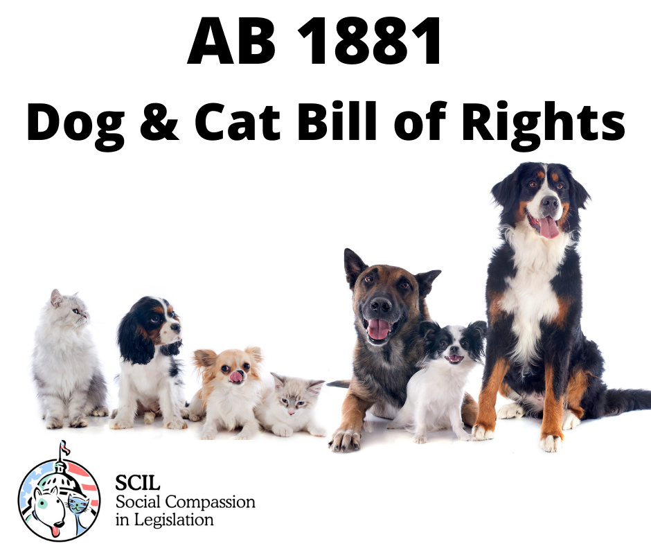 AB 1881 The Dog & Cat Bill of Rights