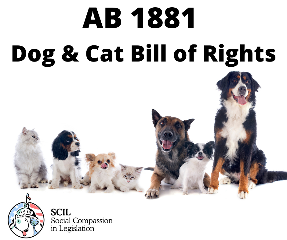 AB 1881