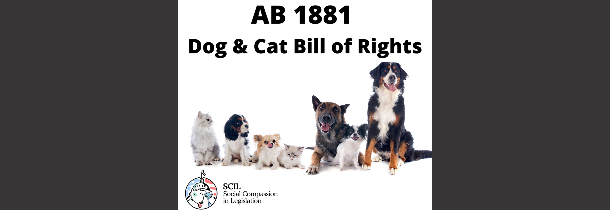 dog-cat-bill-of-rights