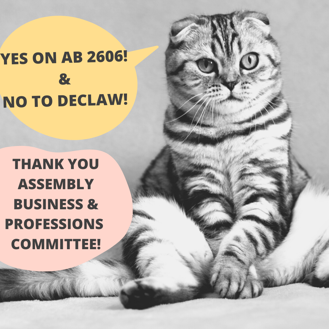 AB 2606 No Declaw
