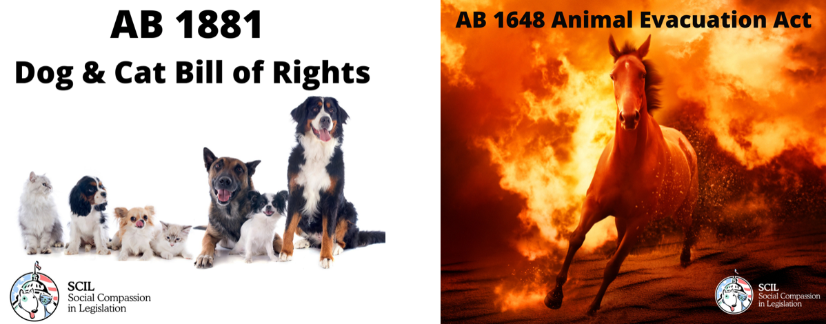 AB1881