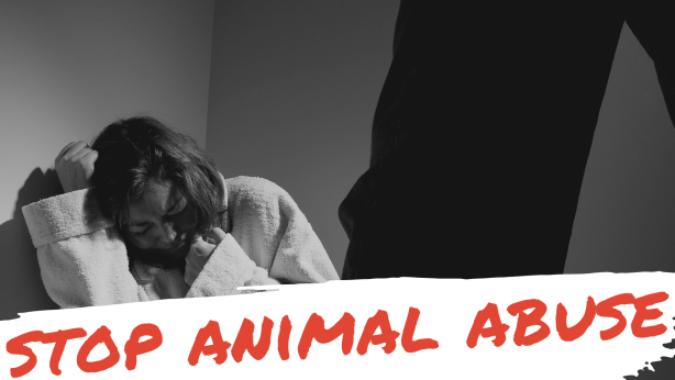 AB 829 (Waldron) The Animal Cruelty & Violence Intervention Act