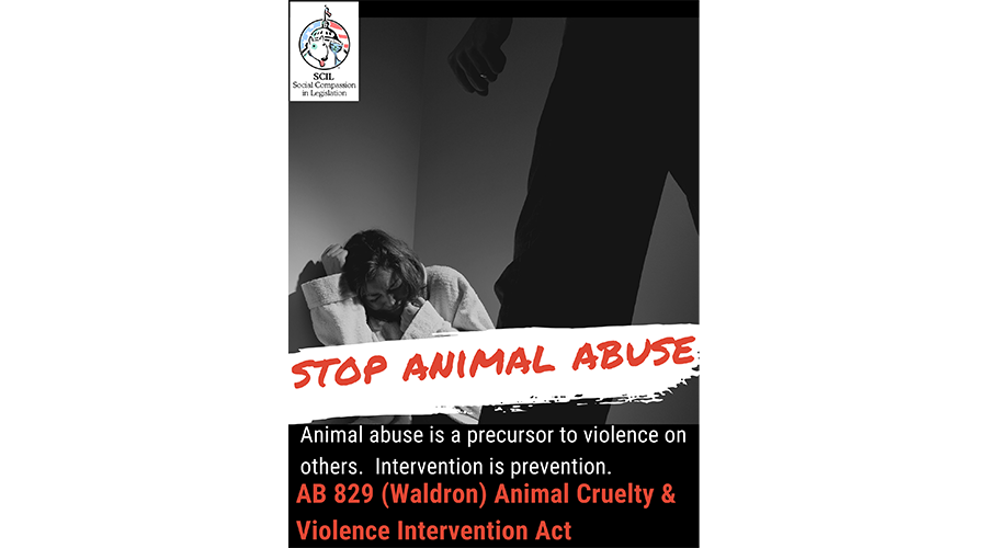 stop-animal-abuse