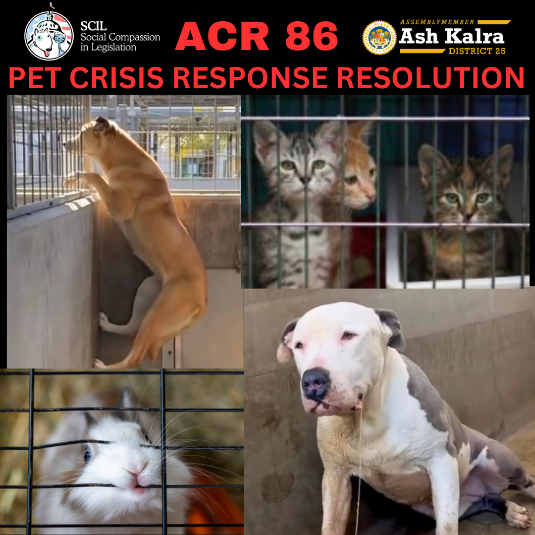 ACR 86 Animal Rights Bill