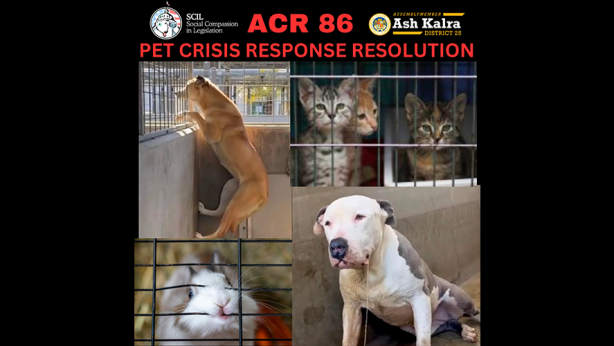 ACR 86 Animal Rights Bill California