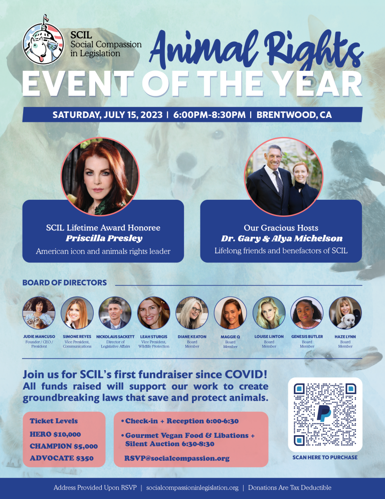 Social Compassion In Legislatio Events