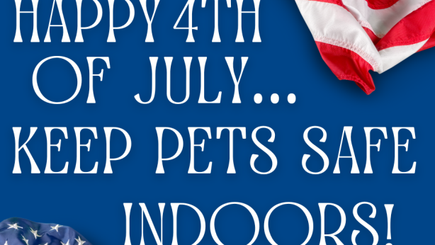 Happy 4th of July... Keep Pets Safe Indoors!