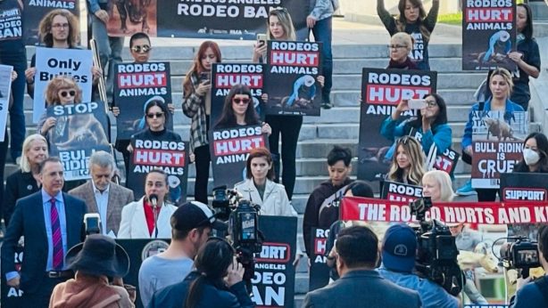 Protesters in support of Rodeo Ordinance in LA