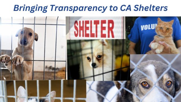 Animal Shelter Data Collection Act
