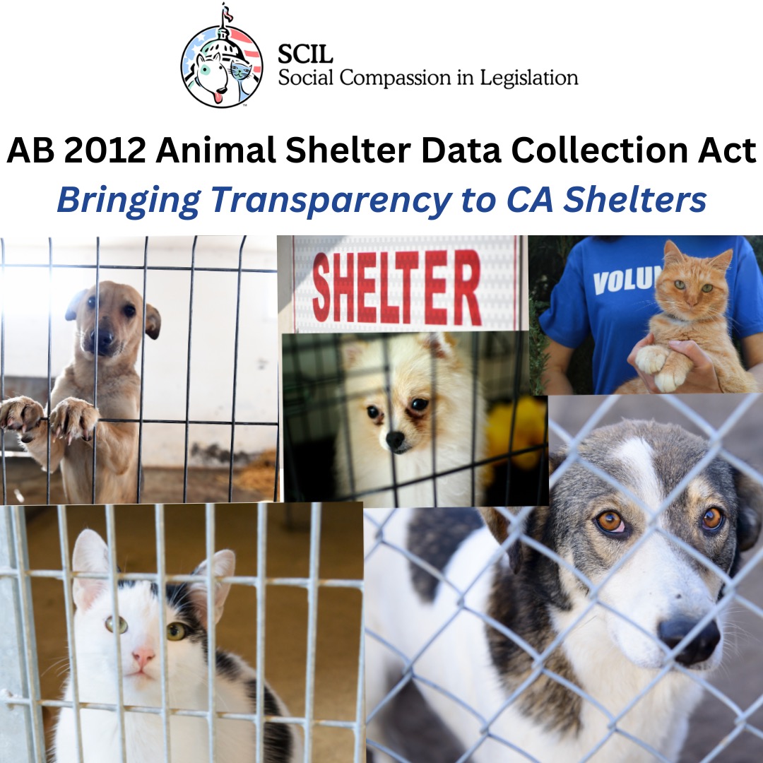 Animal Shelter Data Collection Act