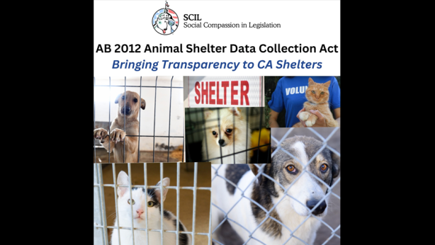 AB 2012 (Lee) the Animal Shelter Data Collection Act