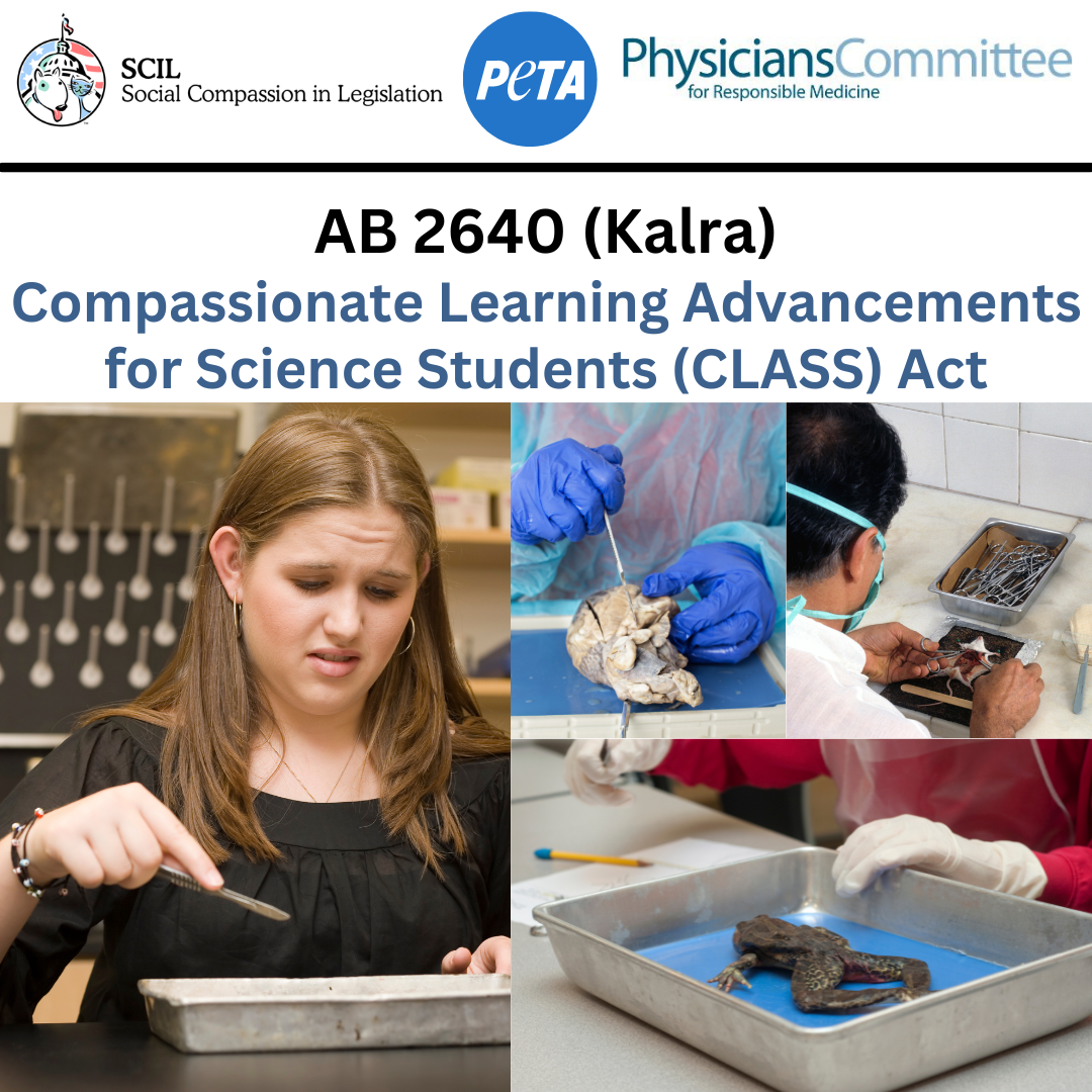 AB 2640 CLASS Act
