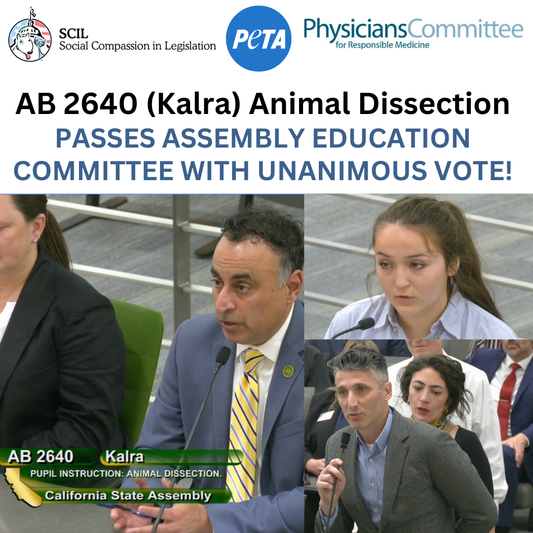Animal Dissection Bill Passes Committee with a Unanimous Vote!