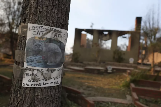 Screen Shot 2025-01-24 at 12.44.10 PM