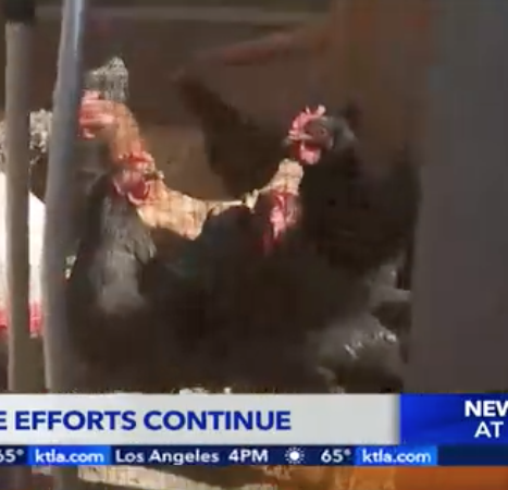 Screen Shot 2025-12-20 at 11.57.34 AM