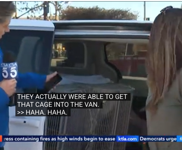 Screen Shot 2025-12-20 at 12.02.01 PM