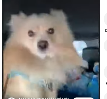 Screen Shot 2025-12-20 at 12.09.33 PM