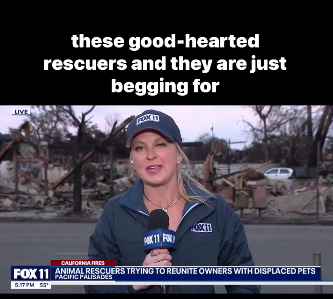 Screen Shot 2025-12-20 at 12.12.59 PM