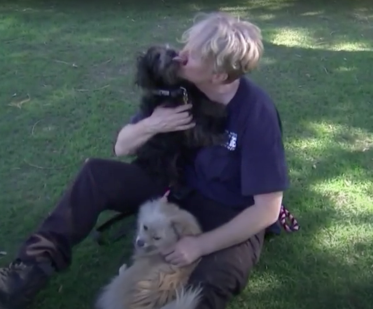 Screen Shot 2025-12-20 at 12.21.03 PM