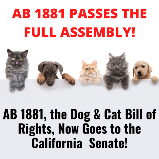 AB 1881