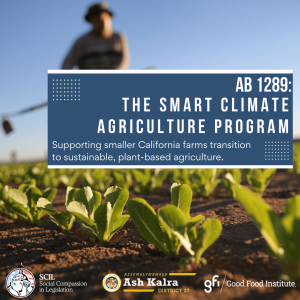 AB 1289
