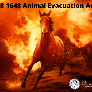 Animal Evacuation Act