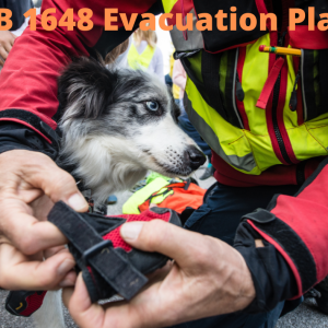 AB 1648 animal evactuation plan image